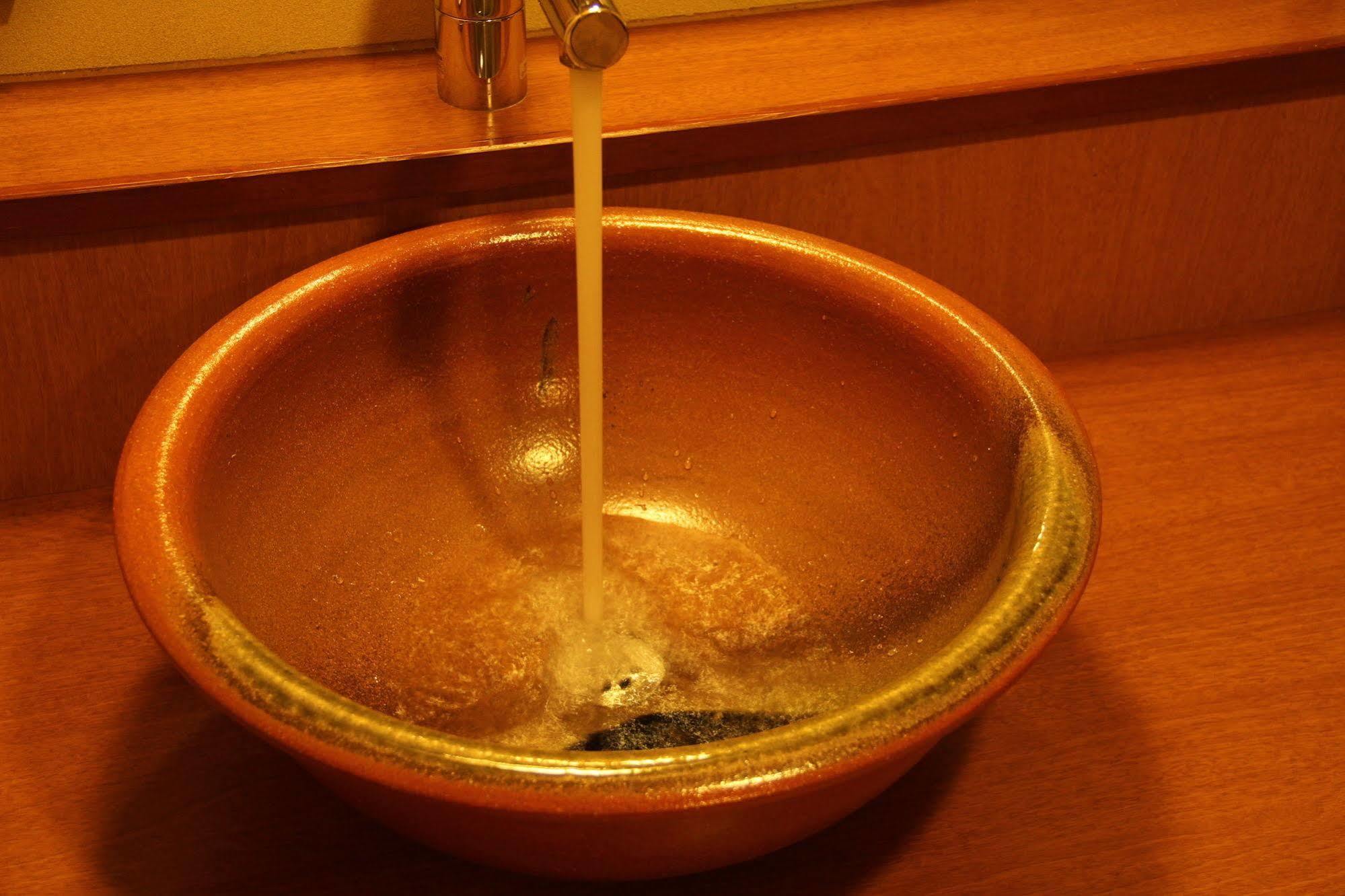 Ryokan Sarusawaike Yoshidaya Nara